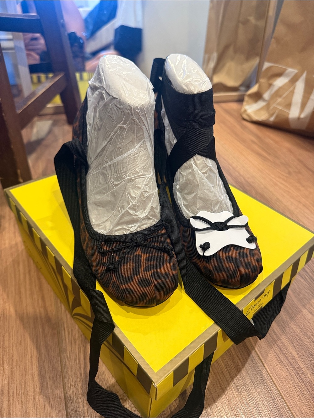 Sam Edelman Leopard Print Ballet Flats with Black Ribbon Tie